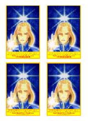 A�tar zp�edu se siln�m zlat�m r�mem - velikost 8x12 cm ( jako cestovn� pas - kn�ka, 4 obr�zky )