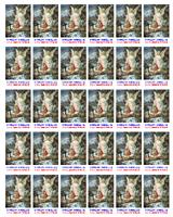 STR��N� AND�L (2)