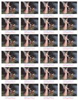 STR��N� AND�L (4)