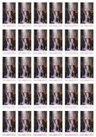 AND�L SV�TLA V NEBI (4)