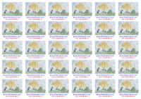 EVAKUA�N� POHOTOVOST